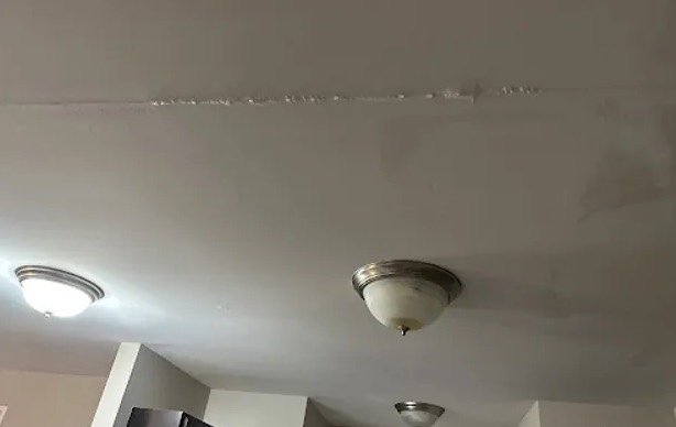 Ceiling Water Extraction in Adelphi, MD