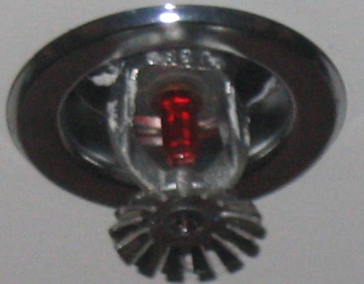 Sprinkler System Water Removal in Adelphi, MD