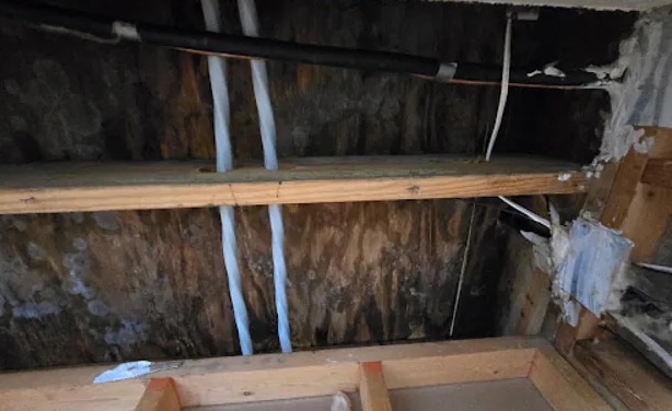 Attic Water Damage Restoration in Adelphi, MD