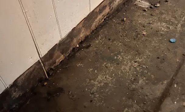 Black Water Extraction (Category 3) in Adelphi, MD