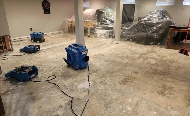 Dehumidification Services in Adelphi, MD